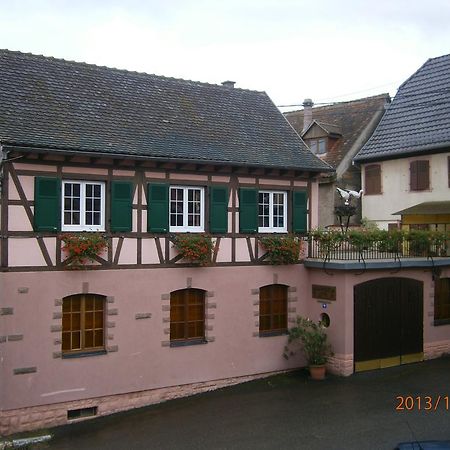 Gite Au Nid De Cigognes Villa Dieffenthal Exterior photo
